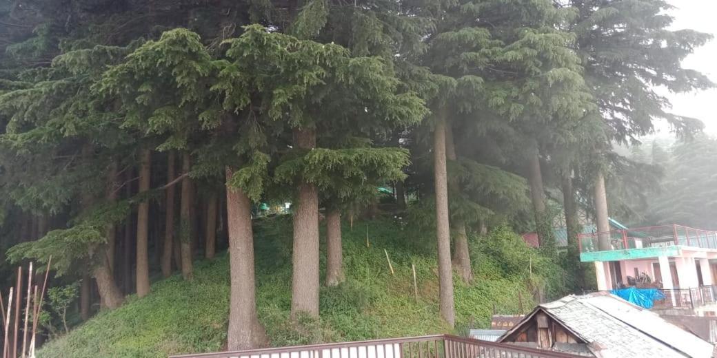 Hotel Forest View Lāhri Extérieur photo