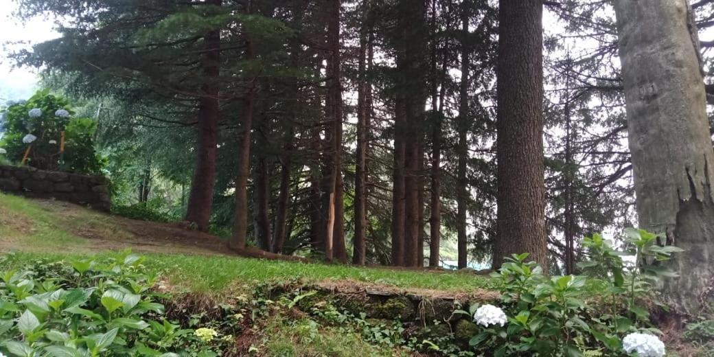 Hotel Forest View Lāhri Extérieur photo
